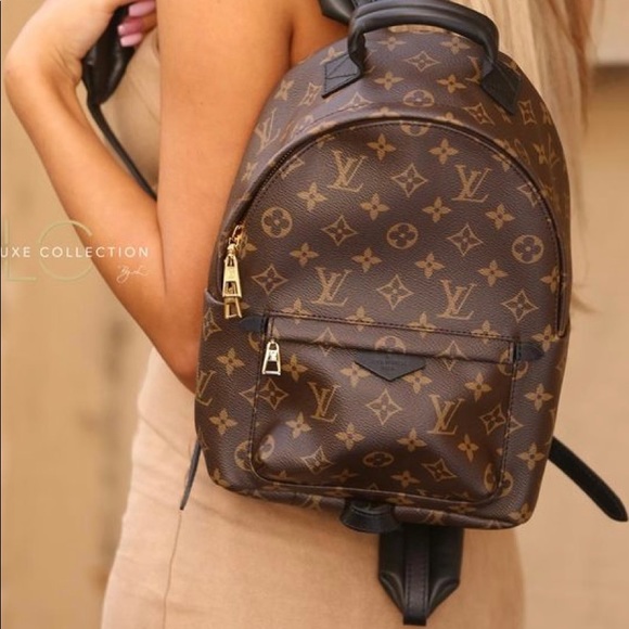 Louis Vuitton Palm Springs MM monogram backpack - Picture 2 of 15